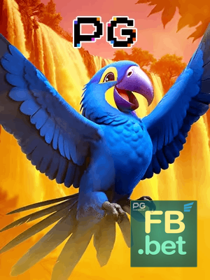 FBBET bônus — cashback 15 por cento e níveis VIP